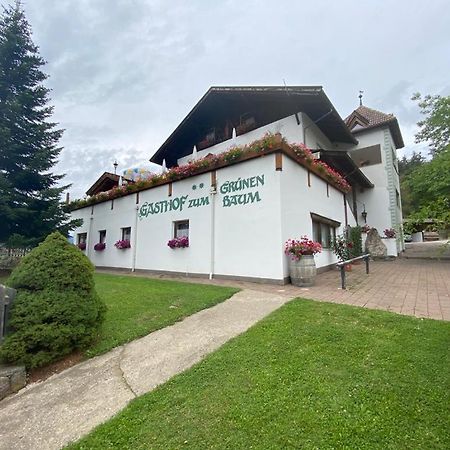Albero Verde Verano Dış mekan fotoğraf