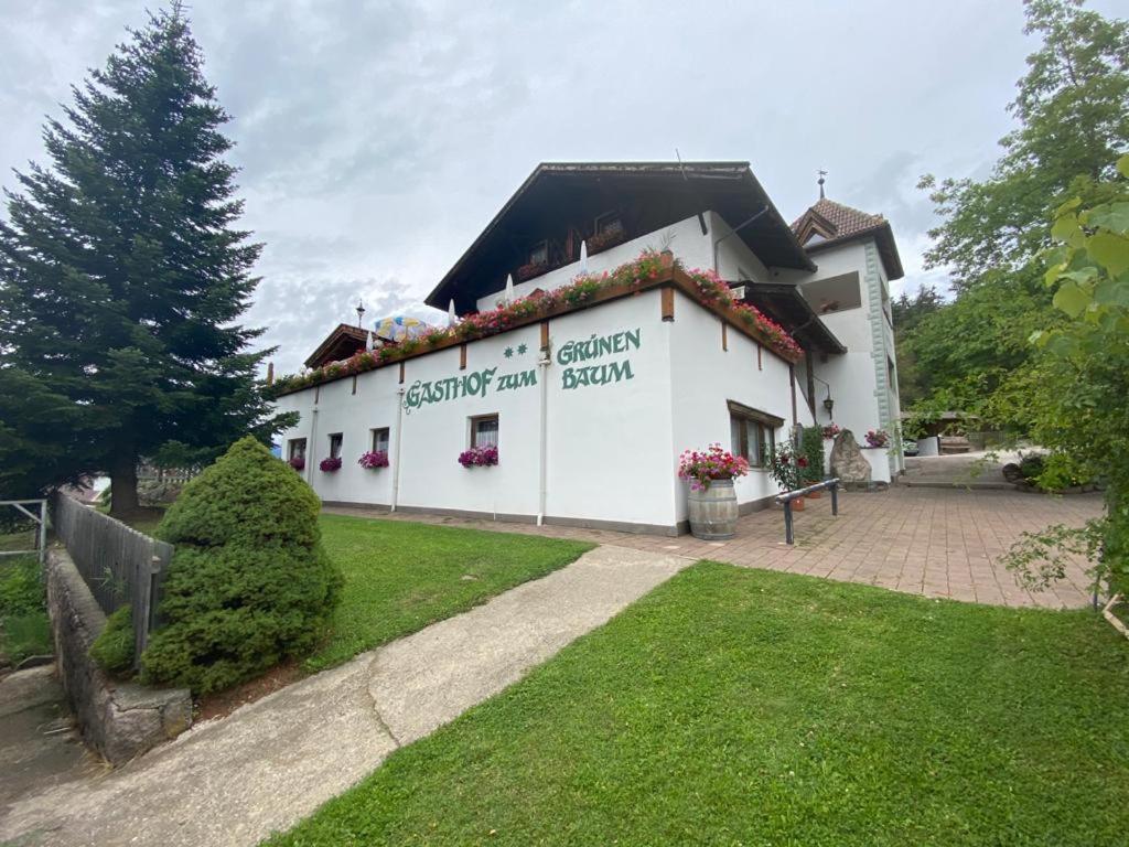 Albero Verde Verano Dış mekan fotoğraf