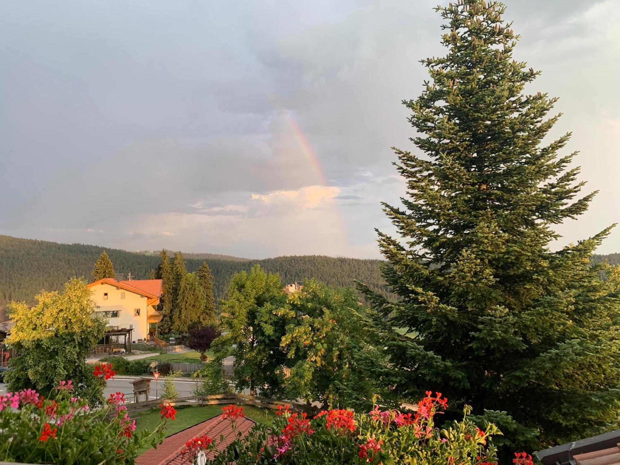 Albero Verde Verano Dış mekan fotoğraf