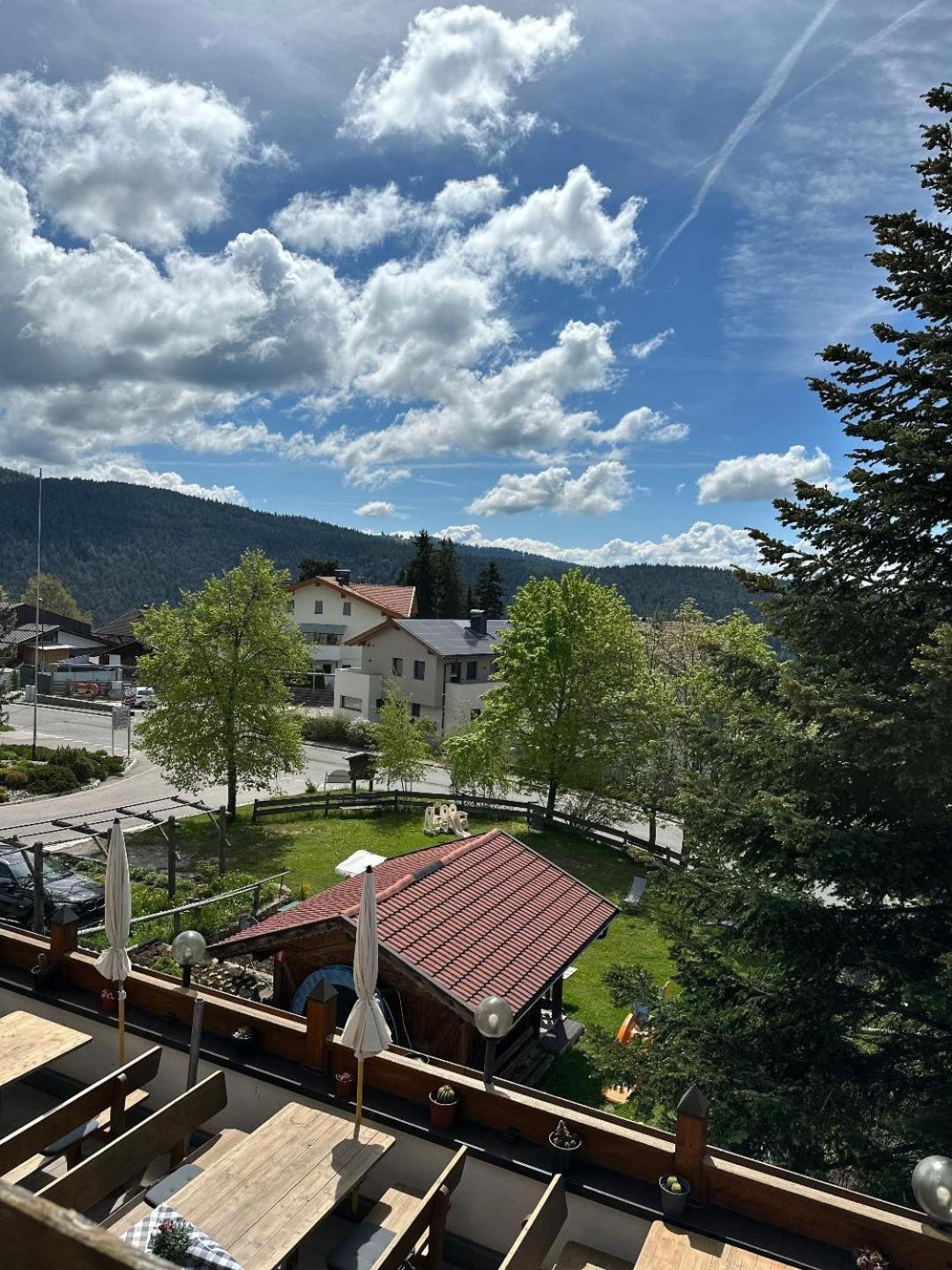 Albero Verde Verano Dış mekan fotoğraf